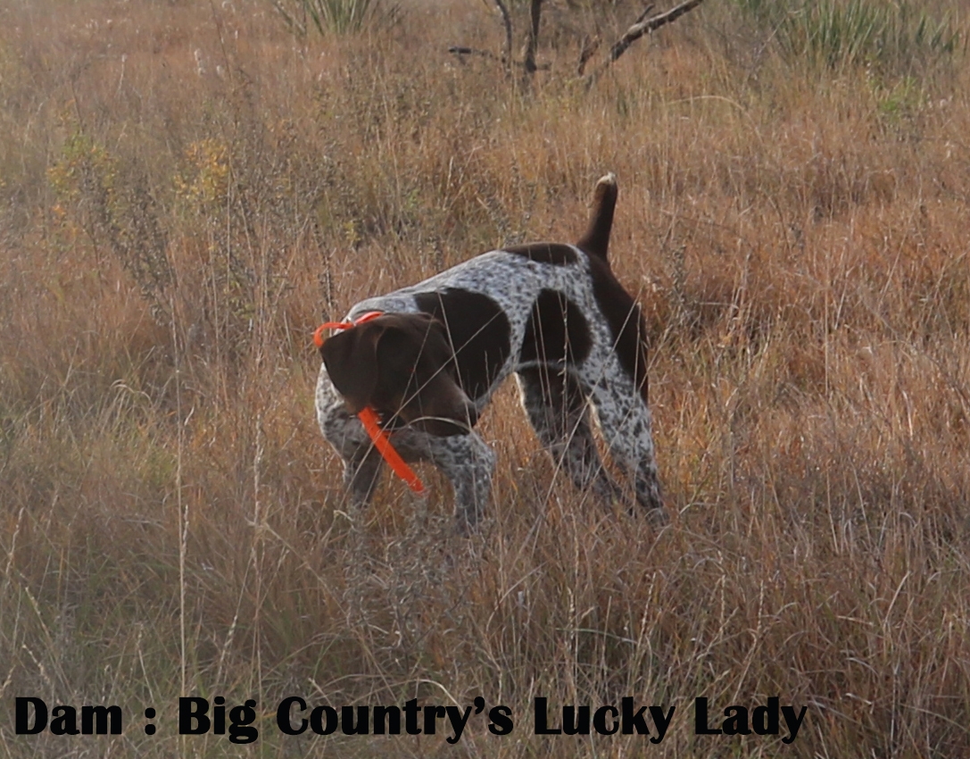 Big Country's Lucky Lady