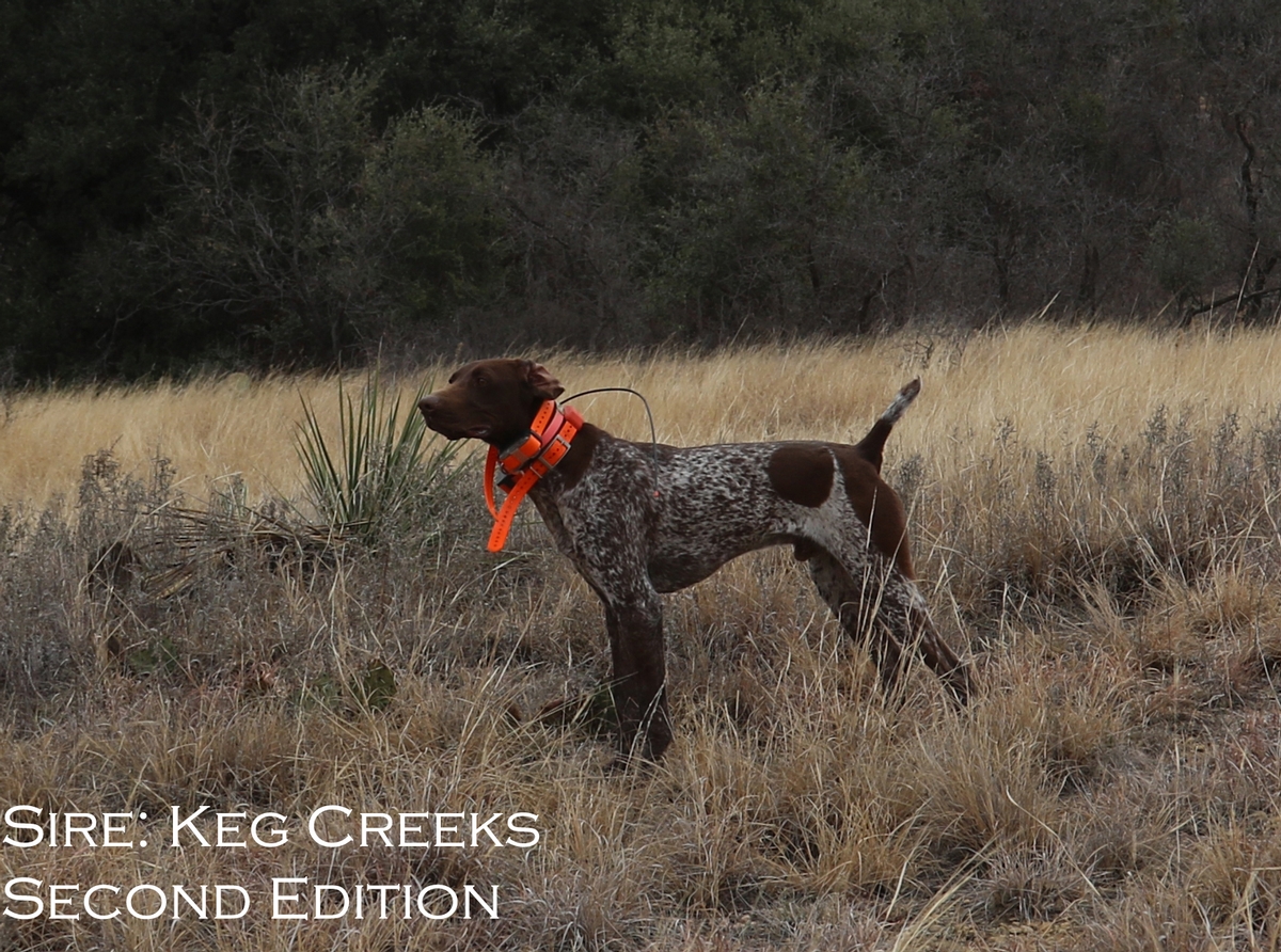 Keg Creek Second Edition