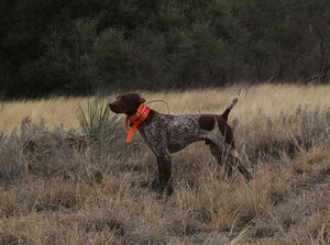 Keg Creek Second Edition